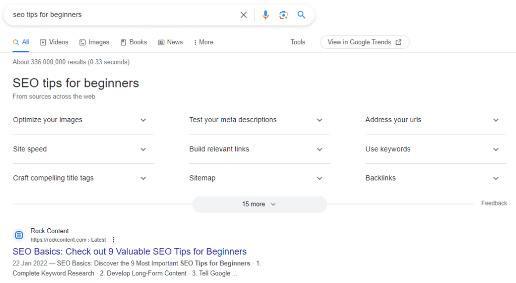 seo tips for beginners SERP example